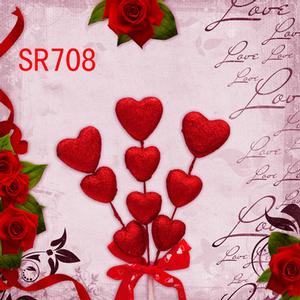 8'x8' SR708